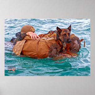 US MILITÄRA ARBETSTAGARE HUND POSTER