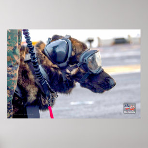 US MILITÄRA ARBETSTAGARE HUND POSTER