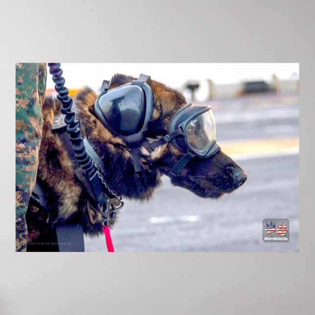 US MILITÄRA ARBETSTAGARE HUND POSTER (Framsidan)