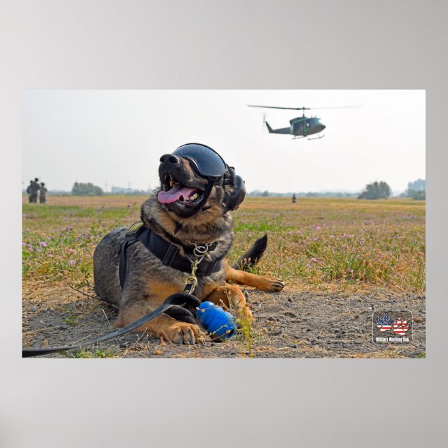 US MILITÄRA ARBETSTAGARE HUND POSTER (Framsidan)