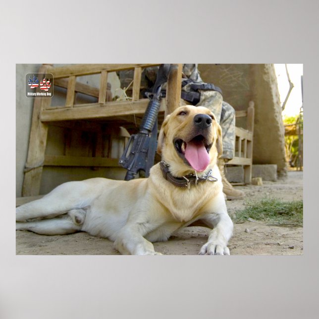 US MILITÄRA ARBETSTAGARE HUND POSTER (Framsidan)