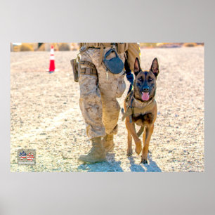 US MILITÄRA ARBETSTAGARE HUND POSTER