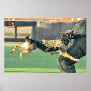 US MILITÄRA ARBETSTAGARE HUND POSTER