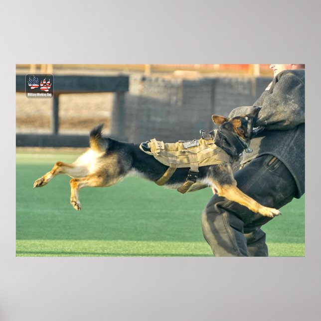 US MILITÄRA ARBETSTAGARE HUND POSTER (Framsidan)