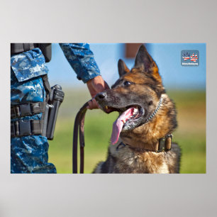 US MILITÄRA ARBETSTAGARE HUND POSTER