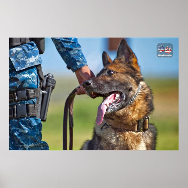 US MILITÄRA ARBETSTAGARE HUND POSTER (Framsidan)