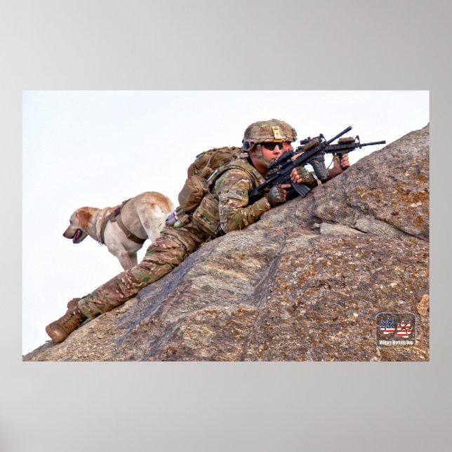 US MILITÄRA ARBETSTAGARE HUND POSTER (Framsidan)