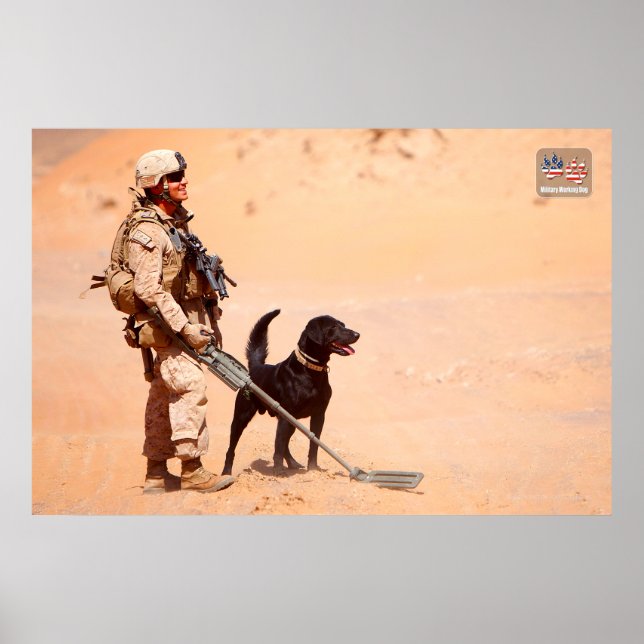 US MILITÄRA ARBETSTAGARE HUND POSTER (Framsidan)