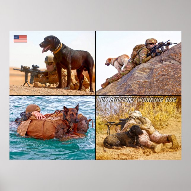 US MILITÄRA ARBETSTAGARE HUND POSTER (Framsidan)