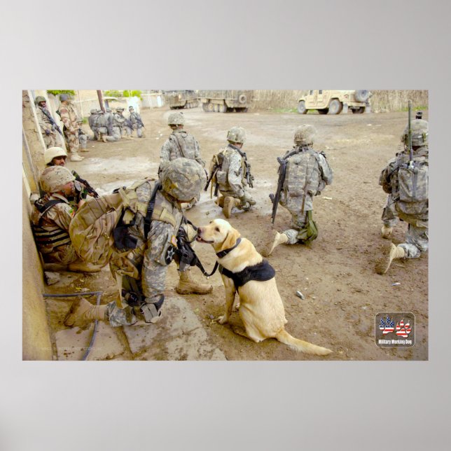 US MILITÄRA ARBETSTAGARE HUND POSTER (Framsidan)