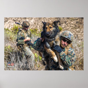 US MILITÄRA ARBETSTAGARE HUND POSTER