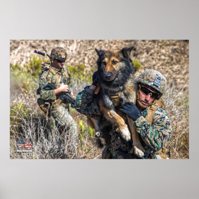 US MILITÄRA ARBETSTAGARE HUND POSTER (Framsidan)
