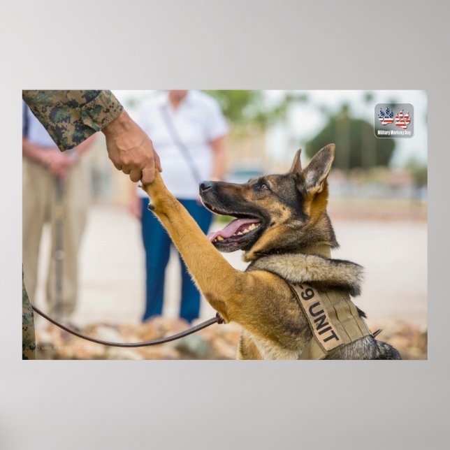 US MILITÄRA ARBETSTAGARE HUND POSTER (Framsidan)