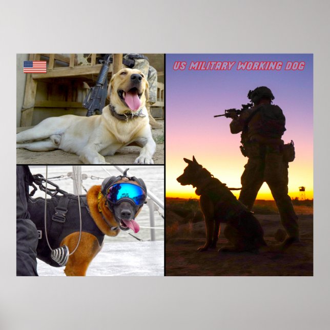US MILITÄRA ARBETSTAGARE HUND POSTER (Framsidan)