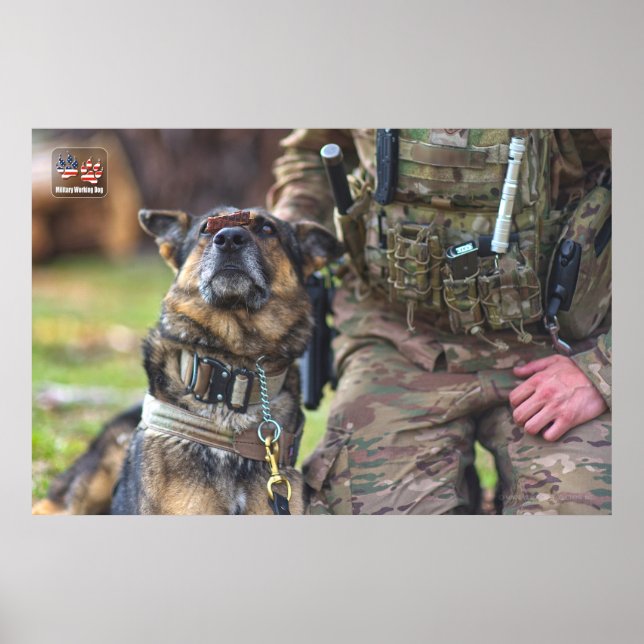 US MILITÄRA ARBETSTAGARE HUND POSTER (Framsidan)