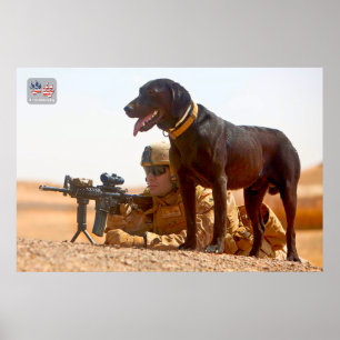 US MILITÄRA ARBETSTAGARE HUND POSTER