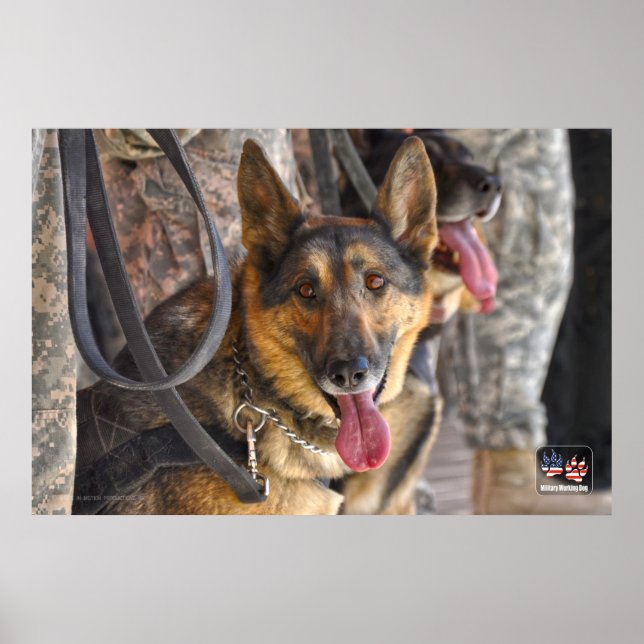 US MILITÄRA ARBETSTAGARE HUND POSTER (Framsidan)