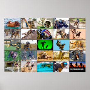 US MILITÄRA WORK HUNDAR "MONTAGE" POSTER