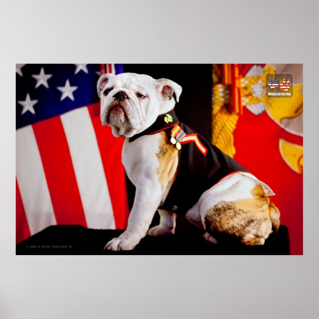 US MILITÄRTJÄNST-HUND POSTER (Framsidan)