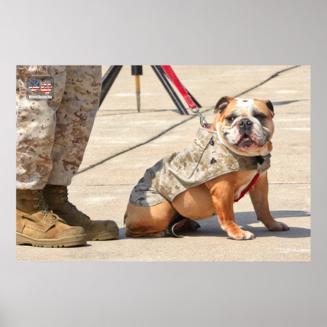 US MILITÄRTJÄNST-HUND POSTER (Framsidan)