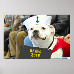 US MILITÄRTJÄNST-HUND POSTER
