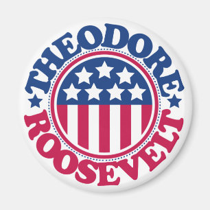 Us-president Theodore Roosevelt Magnet