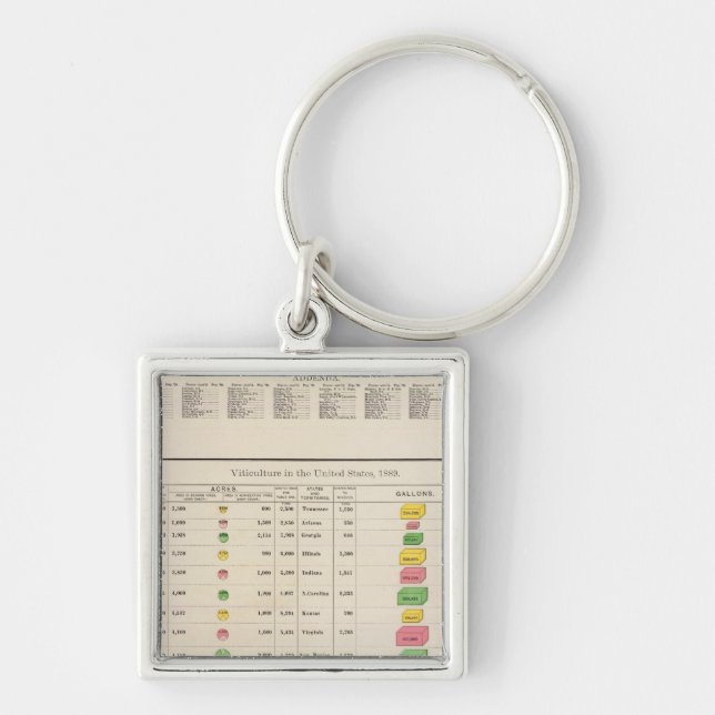 US Viticulture, 1889 Fyrkantig Silverfärgad Nyckelring (Framsidan)