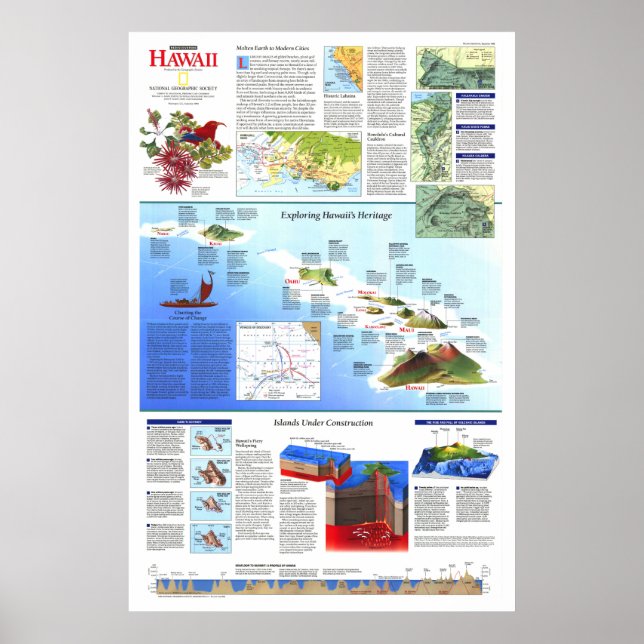" USA: 1995 Hawaii Rediscover in Karta ... Poster (Framsidan)