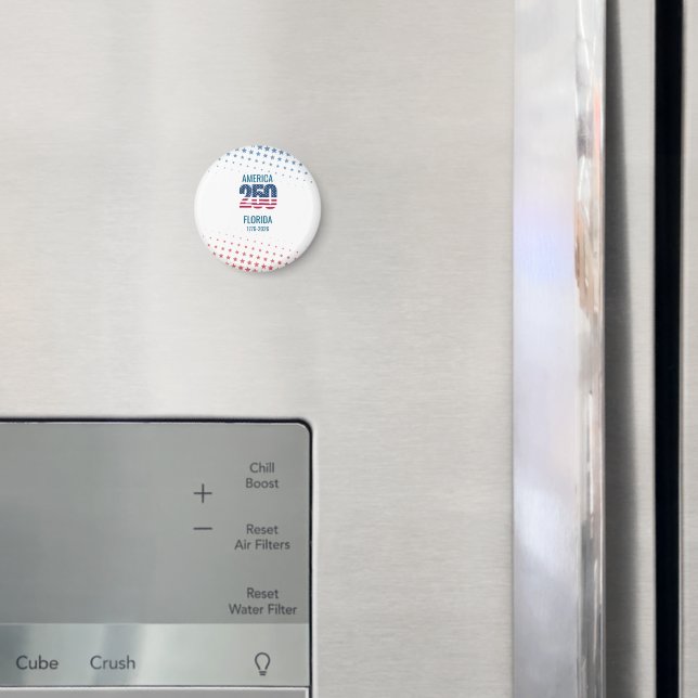 USA 250-årsjubileum Florida Magnet (In Situ (Fridge))