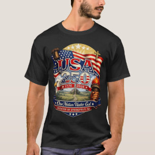 USA 250 Springfield MA Patriotiskt Amerikanskt Arv T Shirt