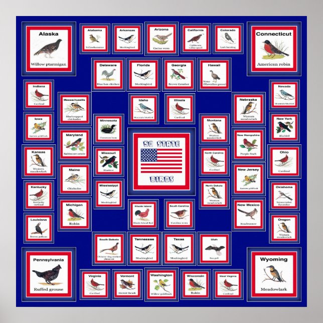USA 50 STATE BIRDS BLUE/552 POSTER (Framsidan)