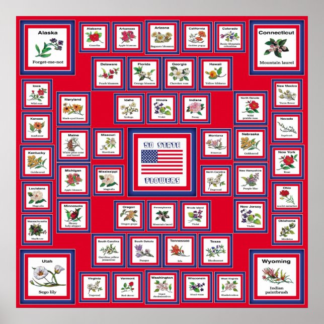 USA 50 STATE FLOWERS RED/560 POSTER (Framsidan)