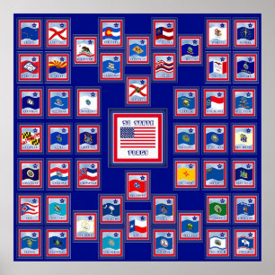 USA 50 STATLIG FLAGGA BLUE/555 POSTER