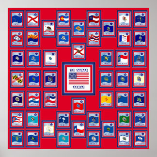 USA 50 STATLIG FLAGGA RED/557 POSTER