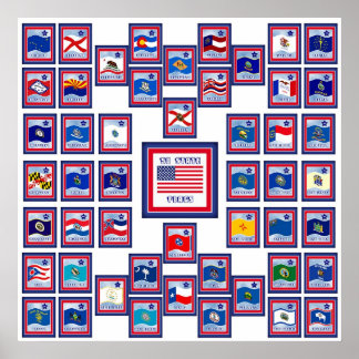 USA 50 STATLIG FLAGGA WHITE/556 POSTER
