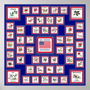 USA 50 STATLIGA BLOMMOR BLUE/558 POSTER