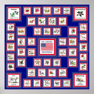 USA 50 STATSFLÖDEN BLUE/558 POSTER