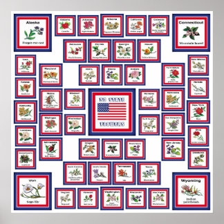 USA 50 STATSFLÖDEN WHITE/559 POSTER