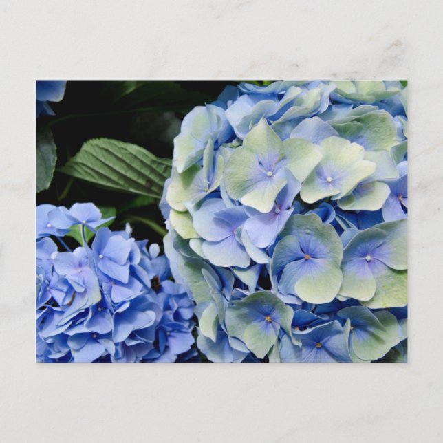 USA, Alabama, Theodore Near Mobile 2 Vykort (Framsida)