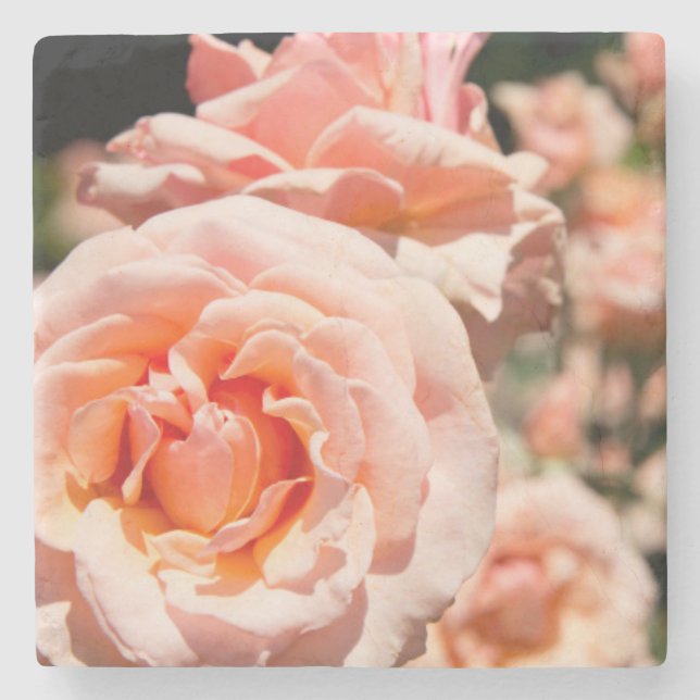 USA, Alabama, Theodore Near Mobile 5 Underlägg Sten (Framsidan)