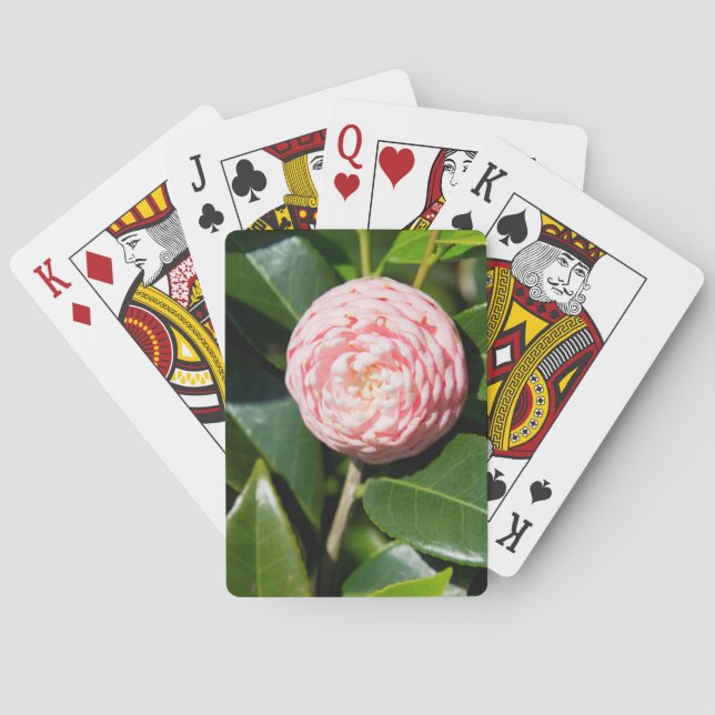 USA, Alabama, Theodore Near Mobile Casinokort (Baksidan)