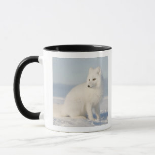 USA, Alaska, 1002 Arktis kustslätt 5 Mugg