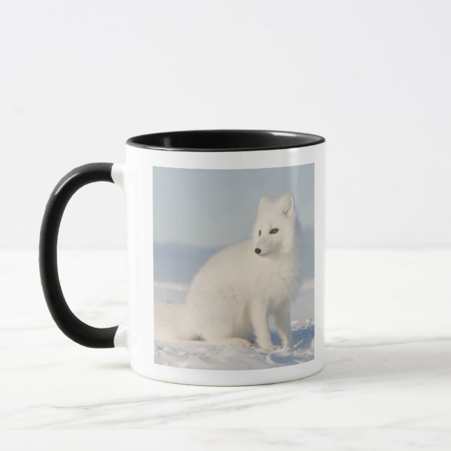 USA, Alaska, 1002 Arktis kustslätt 5 Mugg (Vänster)
