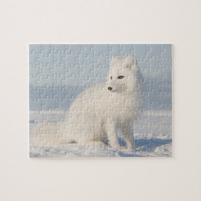 USA, Alaska, 1002 Arktis kustslätt 5 Pussel (Horisontell)