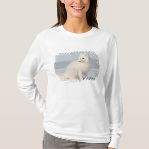 USA, Alaska, 1002 Arktis kustslätt 5 Tee