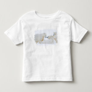 USA, Alaska, 1002 Arktis kustslätt Tee
