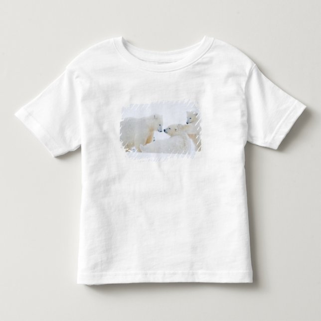 USA, Alaska, 1002 Arktis kustslätt Tee (Framsida)