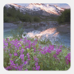 USA, Alaska, Alsek-Tatshenshini vildmark. Fyrkantigt Klistermärke