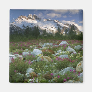 USA, Alaska, Alsek-Tatshenshini vildmark. Utsikt Magnet