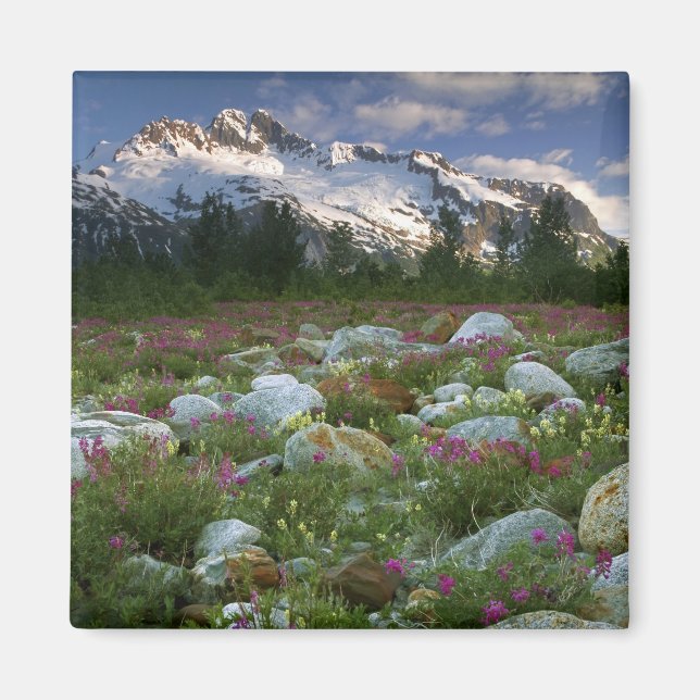USA, Alaska, Alsek-Tatshenshini vildmark. Utsikt Magnet (Framsidan)